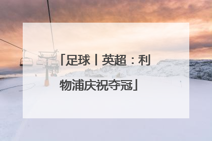 足球丨英超：利物浦庆祝夺冠