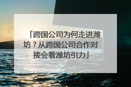 跨国公司为何走进潍坊？从跨国公司合作对接会看潍坊引力