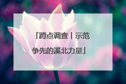 蹲点调查丨示范争先的溪北力量