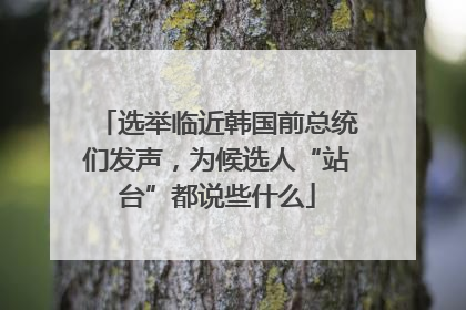 选举临近韩国前总统们发声，为候选人“站台”都说些什么