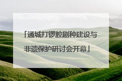 通城打锣腔剧种建设与非遗保护研讨会开幕