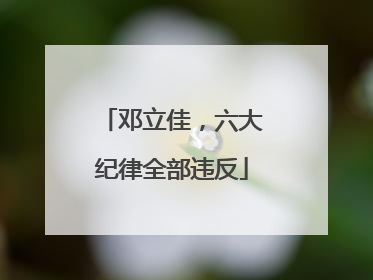 邓立佳，六大纪律全部违反