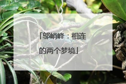 邬峭峰：相连的两个梦境