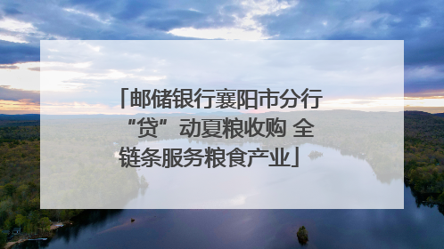 邮储银行襄阳市分行“贷”动夏粮收购 全链条服务粮食产业