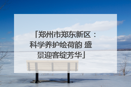 郑州市郑东新区：科学养护绘荷韵 盛景迎客绽芳华