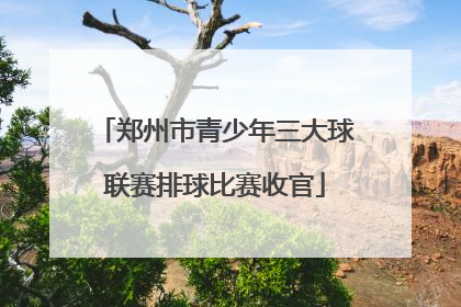 郑州市青少年三大球联赛排球比赛收官