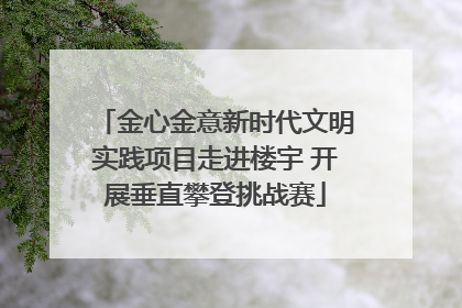 金心金意新时代文明实践项目走进楼宇 开展垂直攀登挑战赛