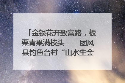 金银花开致富路，板栗青果满枝头——团风县钓鱼台村“山水生金”谱写共富新篇章
