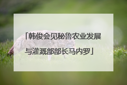 韩俊会见秘鲁农业发展与灌溉部部长马内罗