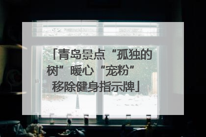 青岛景点“孤独的树”暖心“宠粉” 移除健身指示牌