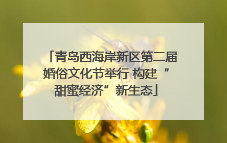 青岛西海岸新区第二届婚俗文化节举行 构建“甜蜜经济”新生态
