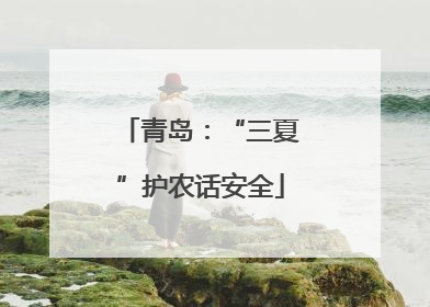 青岛：“三夏”护农话安全