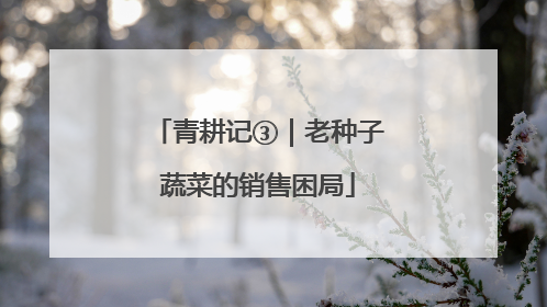青耕记③｜老种子蔬菜的销售困局