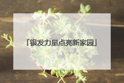 银发力量点亮新家园