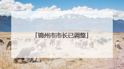 锦州市市长已调整