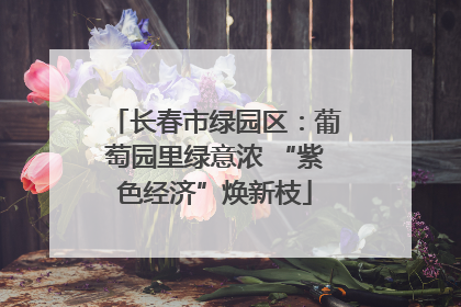 长春市绿园区：葡萄园里绿意浓 “紫色经济”焕新枝