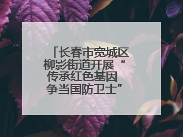 长春市宽城区柳影街道开展“传承红色基因 争当国防卫士”主题教育活动