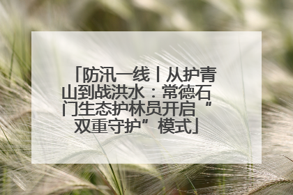 防汛一线丨从护青山到战洪水：常德石门生态护林员开启“双重守护”模式