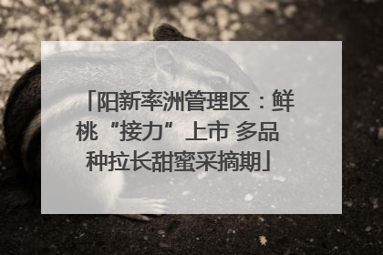 阳新率洲管理区：鲜桃“接力”上市 多品种拉长甜蜜采摘期
