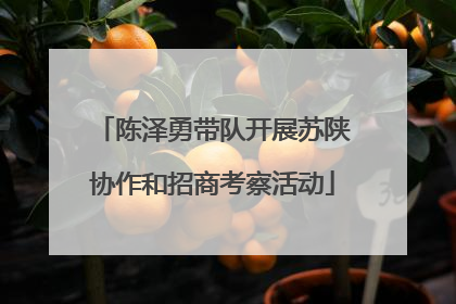 陈泽勇带队开展苏陕协作和招商考察活动
