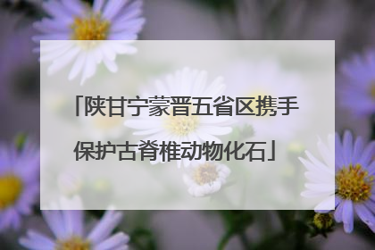 陕甘宁蒙晋五省区携手保护古脊椎动物化石