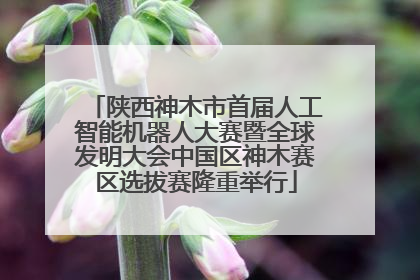 陕西神木市首届人工智能机器人大赛暨全球发明大会中国区神木赛区选拔赛隆重举行