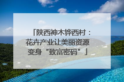 陕西神木铧西村：花卉产业让美丽资源变身“致富密码”
