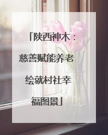 陕西神木：慈善赋能养老 绘就村社幸福图景