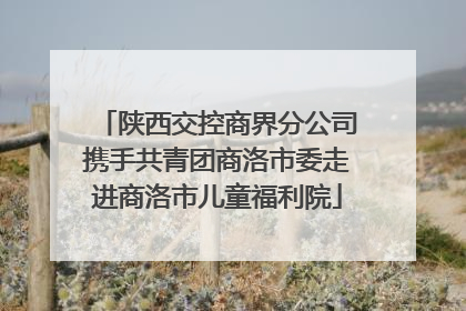 陕西交控商界分公司携手共青团商洛市委走进商洛市儿童福利院