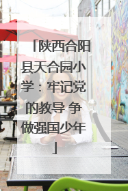 陕西合阳县天合园小学：牢记党的教导 争做强国少年