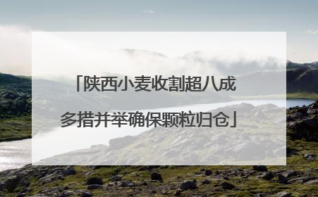 陕西小麦收割超八成 多措并举确保颗粒归仓
