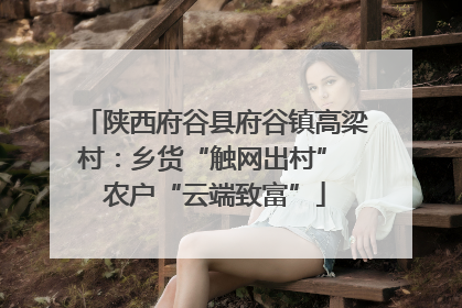 陕西府谷县府谷镇高梁村：乡货“触网出村” 农户“云端致富”