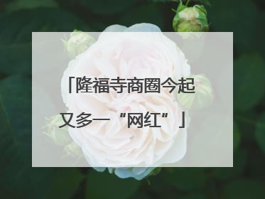 隆福寺商圈今起又多一“网红”