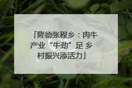 隆德张程乡：肉牛产业“牛劲”足 乡村振兴添活力