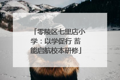 零陵区七里店小学：以学促行 蓄能启航校本研修