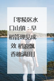 零陵区水口山镇：早稻管理见成效 稻浪飘香穗满田