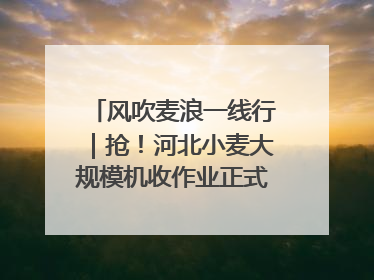 风吹麦浪一线行｜抢！河北小麦大规模机收作业正式拉开帷幕