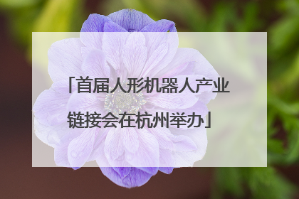 首届人形机器人产业链接会在杭州举办