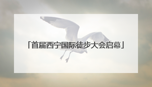 首届西宁国际徒步大会启幕
