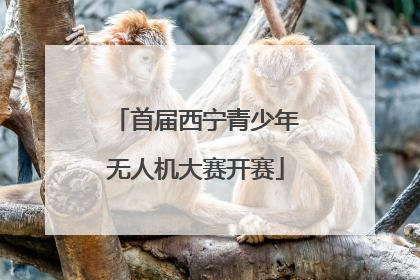 首届西宁青少年无人机大赛开赛
