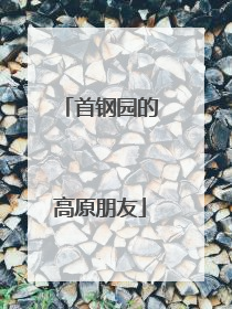 首钢园的高原朋友