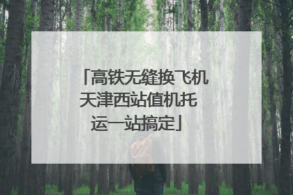 高铁无缝换飞机 天津西站值机托运一站搞定