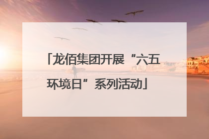 龙佰集团开展“六五环境日”系列活动