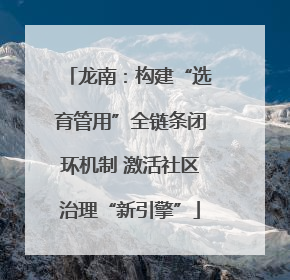 龙南：构建“选育管用”全链条闭环机制 激活社区治理“新引擎”