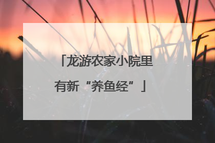 龙游农家小院里有新“养鱼经”