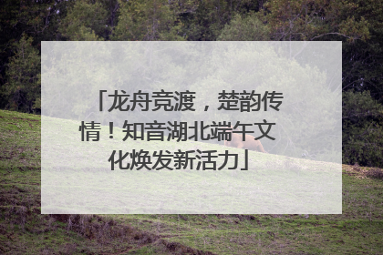 龙舟竞渡，楚韵传情！知音湖北端午文化焕发新活力