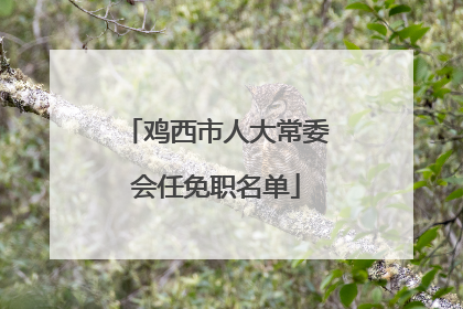 鸡西市人大常委会任免职名单