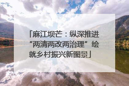 麻江坝芒：纵深推进“两清两改两治理”绘就乡村振兴新图景