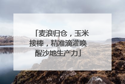 麦浪归仓，玉米接棒，精准滴灌唤醒沙地生产力