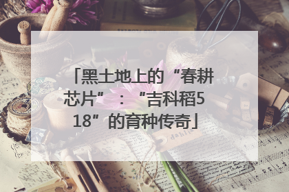 黑土地上的“春耕芯片”：“吉科稻518”的育种传奇